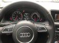 Audi Q5 2.0 Quattro 2014 - Bán xe Audi Q5 2.0 Quattro sản xuất 2014, màu đỏ, nhập khẩu   