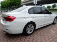 BMW 3 Series 320i 2015 - Bán ô tô BMW 3 Series 320i sản xuất năm 2015, xe nhập