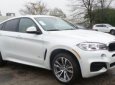 BMW X6 2017 - Cần bán BMW X6 năm sản xuất 2017, màu trắng, nhập khẩu