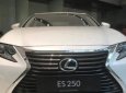 Lexus ES 2018 - Cần bán xe Lexus ES năm 2018, màu trắng, nhập khẩu chính hãng