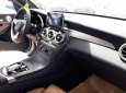 Mercedes-Benz GLC-Class 300 2017 - Bán xe Mercedes Benz GLC300 SX 2017, full option 