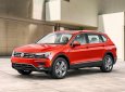 Volkswagen Tiguan 2018 - Cần bán Volkswagen Tiguan sản xuất 2018, nhập khẩu