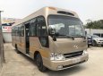 Hyundai County Limousine 2017 - Bán ô tô Hyundai County Limousine sản xuất năm 2017, hai màu