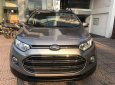 Ford EcoSport 2017 - Cần bán gấp Ford EcoSport năm sản xuất 2017 chính chủ