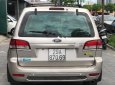 Ford Escape 2008 - Bán Ford Escape đời 2008, giá chỉ 365 triệu