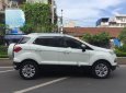 Ford EcoSport Titanium 2015 - Bán ô tô Ford EcoSport Titanium đời 2015, màu trắng số tự động