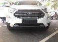 Ford EcoSport 1.5 Dragon Titanium 2018 - Bán Ford Ecosport 1.5 Dragon Titanium 2018, giá tốt nhất, tặng bảo hiểm vật chất, phim, bệ bước. Lót sàn