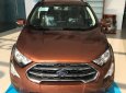 Ford EcoSport 2018 - Bán Ford Ecosport 2018, tặng bảo hiểm, phim, camera, vay 90% giao xe ngay