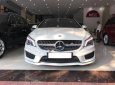 Mercedes-Benz CLA class CLA 250 4Matic 2015 - Bán Mercedes CLA 250 4Matic đời 2015, màu trắng, nhập khẩu