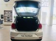 Volkswagen Polo 2018 - Bán ô tô Volkswagen Polo đời 2018, màu bạc, nhập khẩu, giá chỉ 695 triệu