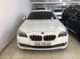 BMW 5 Series 523i 2010 - Bán xe BMW 5 Series 523i đời 2010, màu trắng, xe nhập 