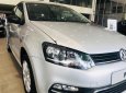 Volkswagen Polo 2018 - Bán ô tô Volkswagen Polo đời 2018, màu bạc, nhập khẩu, giá chỉ 695 triệu