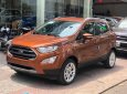 Ford EcoSport 2018 - Bán Ford Ecosport 2018, tặng bảo hiểm, phim, camera, vay 90% giao xe ngay