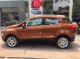 Ford EcoSport 2018 - Bán Ford Ecosport 2018, tặng bảo hiểm, phim, camera, vay 90% giao xe ngay