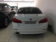 BMW 5 Series 523i 2010 - Bán xe BMW 5 Series 523i đời 2010, màu trắng, xe nhập 