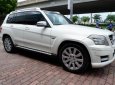 Mercedes-Benz GLK Class GLK 300 4 Matric 2009 - Bán Mercedes GLK300 4 Matric Model 2010