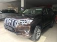 Toyota Prado VX 2.7L 2018 - Bán Toyota Prado VX 2.7L sản xuất năm 2018, màu nâu, nhập khẩu nguyên chiếc