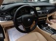 BMW 5 Series 520i 2016 - Bán ô tô BMW 5 Series 520i đời 2017, xe nhập