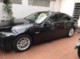 BMW 5 Series 520i 2015 - Bán BMW 5 Series 520i sản xuất 2015, màu đen, nhập khẩu xe gia đình