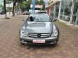 Mercedes-Benz GLS CLS 300 2010 - Bán ô tô Mercedes CLS 300 đời 2010, màu bạc