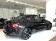 BMW M2 2017 - Cần bán BMW M2 sản xuất 2017 màu đen, 2 tỷ 999 triệu - nhập khẩu chính hãng - 0901214555