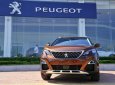 Peugeot 3008 2018 - Bán xe Peugeot 3008 ALl New sản xuất 2018, hỗ trợ lái thử, giao xe ngay, lấy xe từ 380tr