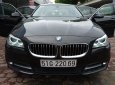 BMW 5 Series 520i 2016 - Bán ô tô BMW 5 Series 520i đời 2017, xe nhập