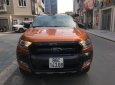 Ford Ranger Wildtrak 3.2 AT 2017 - Bán Ford Ranger Wildtrak 3.2AT 2017, nhập khẩu