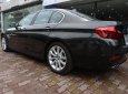 BMW 5 Series 520i 2016 - Bán ô tô BMW 5 Series 520i đời 2017, xe nhập