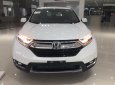 Honda CR V  L  2018 - Bán ô tô Honda CR V L đời 2018, màu trắng, nhập khẩu nguyên chiếc