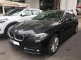 BMW 5 Series 520i 2016 - Bán BMW 5 Series 520i năm sản xuất 2016, màu đen, nhập khẩu