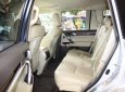 Lexus GX 460 2011 - Bán xe Lexus GX 460 sản xuất 2011, màu bạc, nhập khẩu  