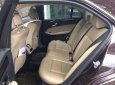 Mercedes-Benz E class E250 2011 - Cần bán Mercedes E250 đời 2011, màu nâu chính chủ, giá tốt