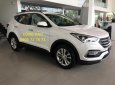 Hyundai Santa Fe 2018 - Bán Hyundai SantaFe giá chỉ 898 triệu, hỗ trợ vay đến 90%, bao đậu hồ sơ