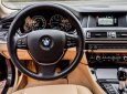 BMW 5 Series 520i 2016 - Bán xe BMW 5 Series 520i năm sản xuất 2016, màu nâu, xe nhập