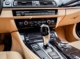 BMW 5 Series 520i 2016 - Bán xe BMW 5 Series 520i năm sản xuất 2016, màu nâu, xe nhập