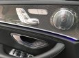 Mercedes-Benz E class E300 2017 - Cần bán gấp Mercedes-Benz E class đời 2016, đăng kí 2017
