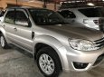 Ford Escape XLT 2010 - Bán Ford Escape XLT năm sản xuất 2010 xe gia đình, giá 425tr