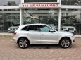 Audi Q5 2014 - Cần bán xe Audi Q5 năm 2014, màu bạc