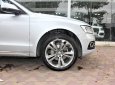 Audi Q5 2004 - Bán Audi Q5 sản xuất 2004, màu bạc