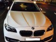 BMW 5 Series 520i 2014 - Bán BMW 5 Series 520i sản xuất 2014, màu trắng, xe nhập