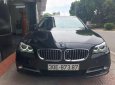 BMW 5 Series 520i 2016 - Bán ô tô BMW 5 Series 520i sản xuất 2016, màu đen, nhập khẩu