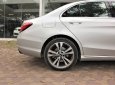 Mercedes-Benz C class  C 250 2018 - Bán Mercedes C 250 năm sản xuất 2018, màu bạc