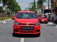 Chevrolet Spark Duo Van 1.2 MT 2018 - Cần bán xe Chevrolet Spark Duo Van 1.2 MT đời 2018, màu đỏ