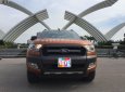 Ford Ranger Wildtrack 3.2AT- 2018 - Bán Ford Ranger Wildtrack 3.2AT- năm sản xuất 2018, xe nhập đẹp như mới