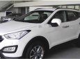 Hyundai Santa Fe 2018 - Bán Hyundai Santa Fe sản xuất năm 2018, màu trắng, giá tốt