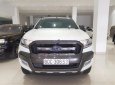 Ford Ranger Wildtrak 3.2L 4x4 AT 2016 - Cần bán gấp Ford Ranger Wildtrak 3.2L 4x4 AT 2016, màu trắng, nhập khẩu nguyên chiếc