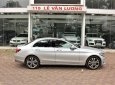 Mercedes-Benz C class  C 250 2018 - Bán Mercedes C 250 năm sản xuất 2018, màu bạc