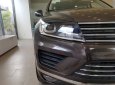 Volkswagen Touareg GP 2017 - Cần bán xe Volkswagen Touareg GP 2017, màu nâu xe nhập