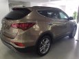 Hyundai Santa Fe 2.2L 4WD 2018 - Cần bán xe Hyundai Santa Fe 2.2L 4WD sản xuất 2018, màu nâu